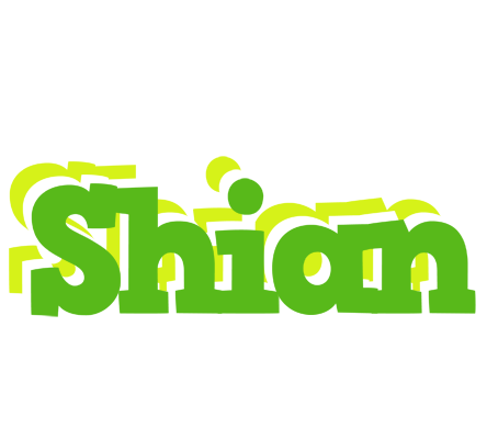 Shian picnic logo