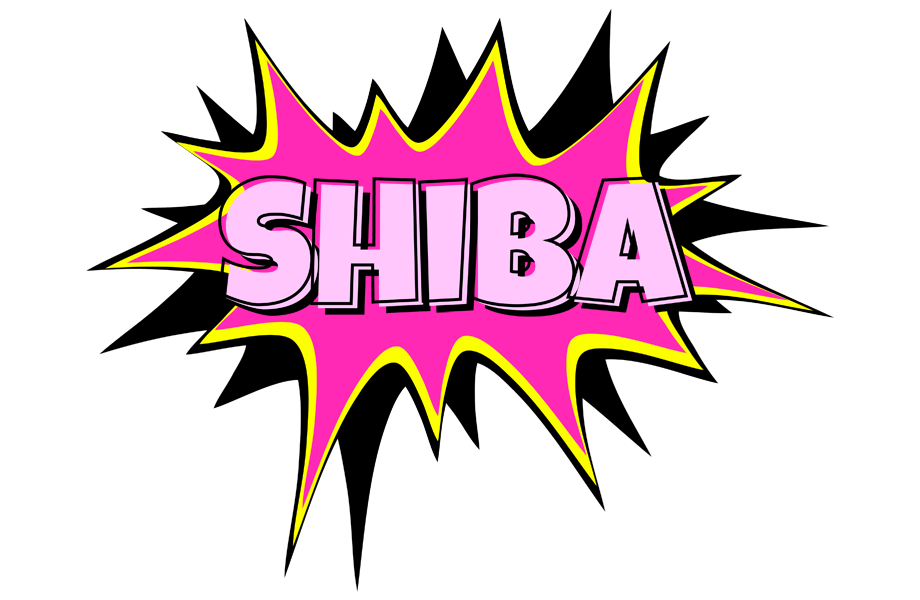 Shiba badabing logo