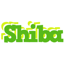 Shiba picnic logo