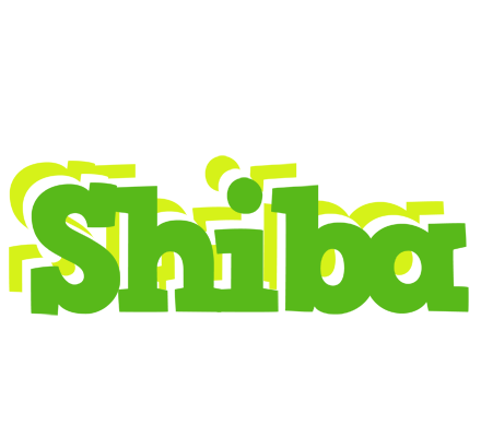 Shiba picnic logo