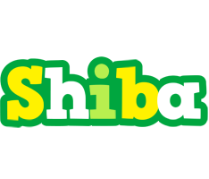 Shiba soccer logo