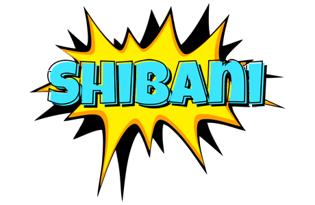 Shibani indycar logo