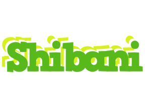 Shibani picnic logo