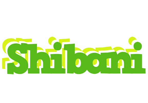 Shibani picnic logo