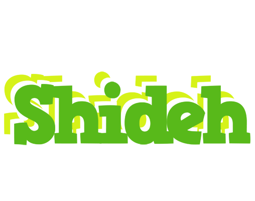 Shideh picnic logo