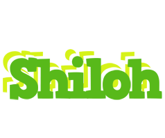 Shiloh picnic logo