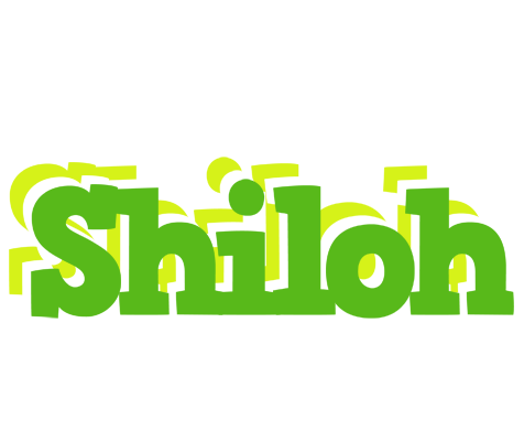 Shiloh picnic logo