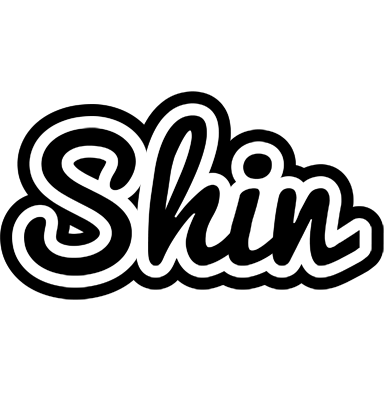 Shin chess logo