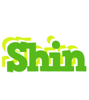 Shin picnic logo