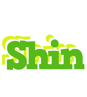 Shin picnic logo