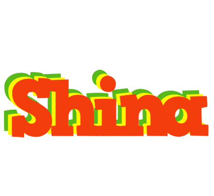 Shina bbq logo