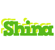 Shina picnic logo