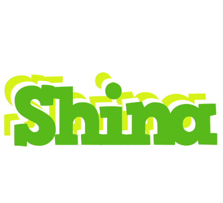 Shina picnic logo