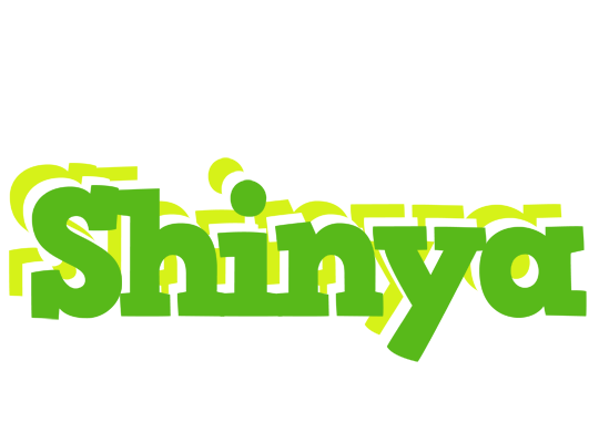Shinya picnic logo