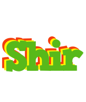 Shir crocodile logo