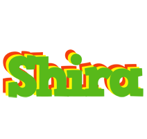Shira crocodile logo
