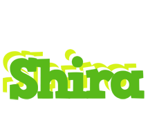 Shira picnic logo