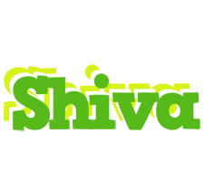 Shiva picnic logo