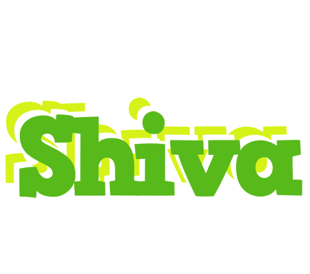 Shiva picnic logo