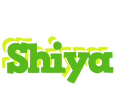 Shiya picnic logo