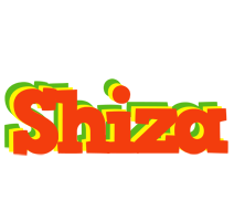 Shiza bbq logo