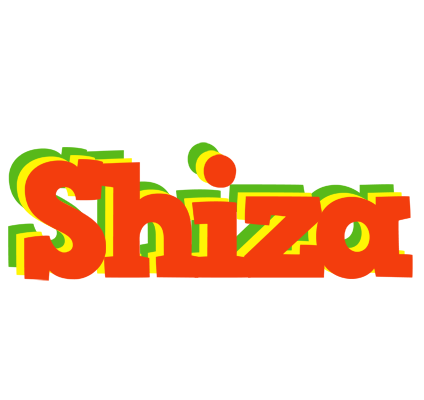Shiza bbq logo