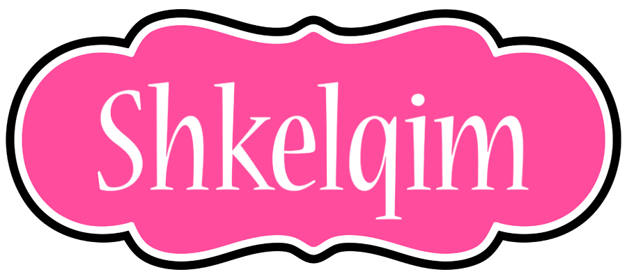 Shkelqim invitation logo