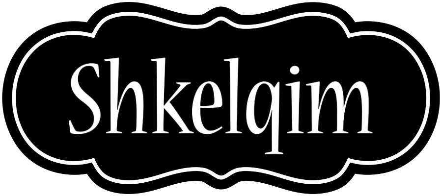 Shkelqim welcome logo