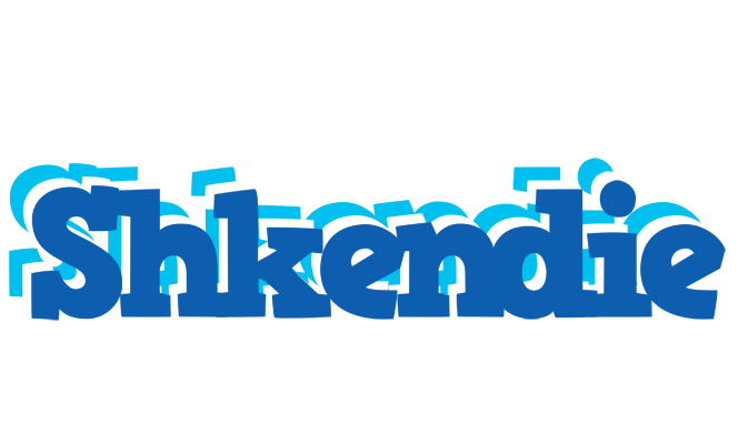 Shkendie business logo