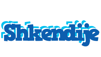 Shkendije business logo