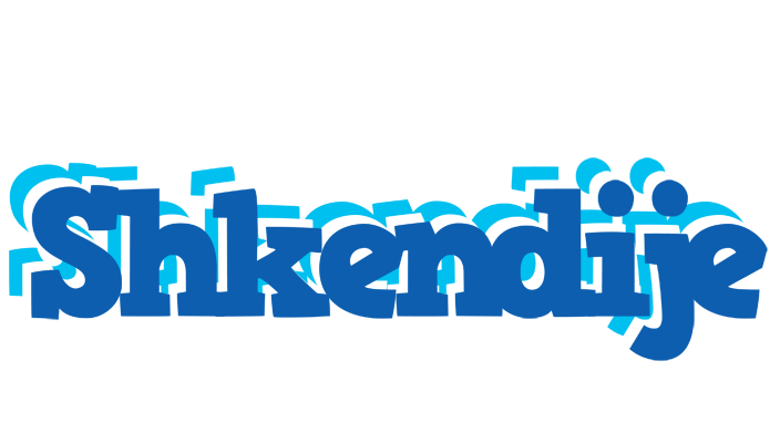 Shkendije business logo