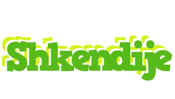 Shkendije picnic logo