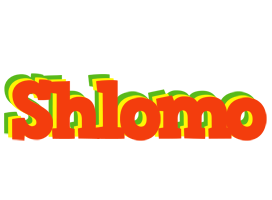 Shlomo bbq logo