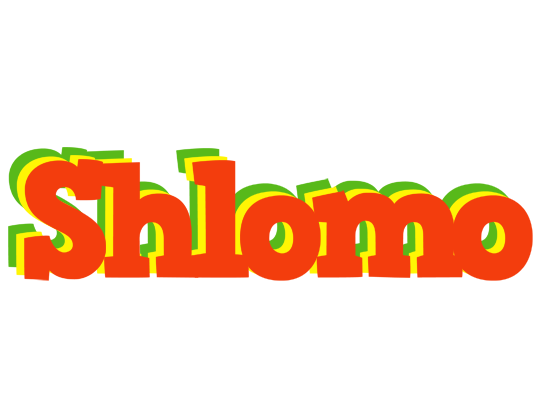 Shlomo bbq logo