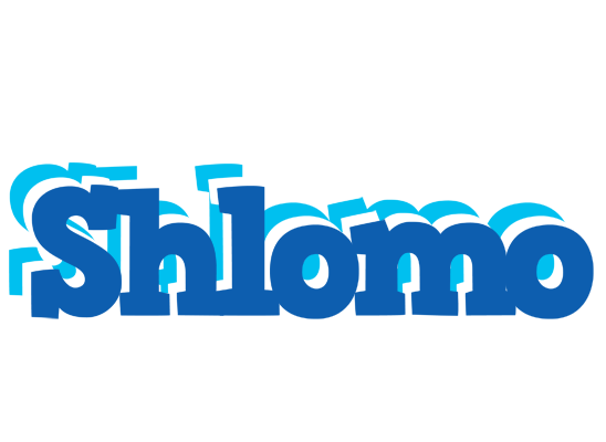 Shlomo business logo