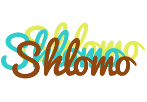 Shlomo cupcake logo