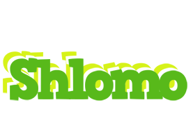 Shlomo picnic logo