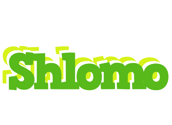 Shlomo picnic logo