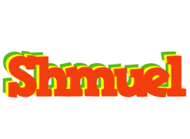 Shmuel bbq logo