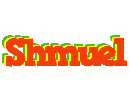 Shmuel bbq logo