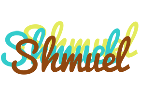 Shmuel cupcake logo