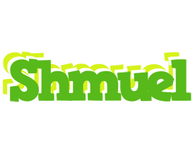 Shmuel picnic logo