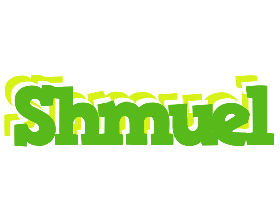 Shmuel picnic logo