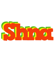 Shna bbq logo