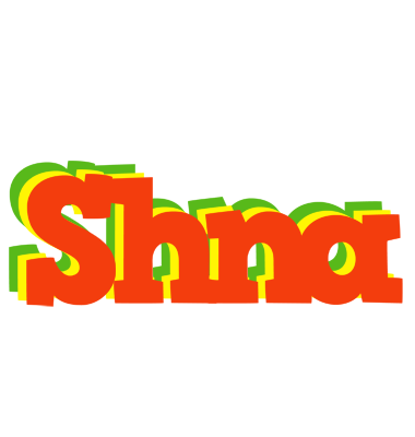 Shna bbq logo