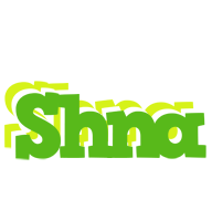 Shna picnic logo