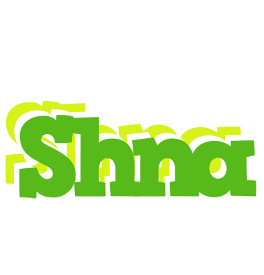 Shna picnic logo