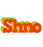 Shno bbq logo