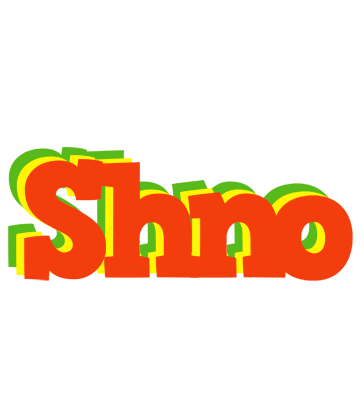 Shno bbq logo