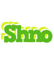 Shno picnic logo